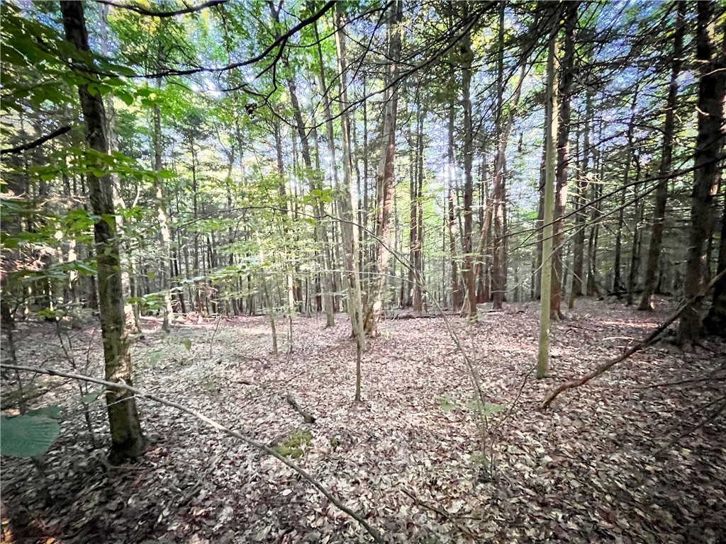 Williams Road Candor, NY 13743 - Photo 22 of 34