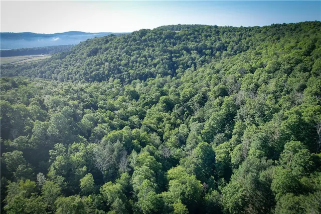 $139,900 | Williams Road, Candor, NY 13743