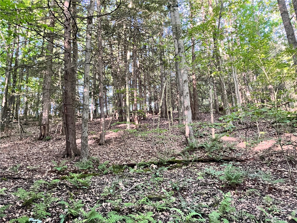 Williams Road Candor, NY 13743 - Photo 24 of 34