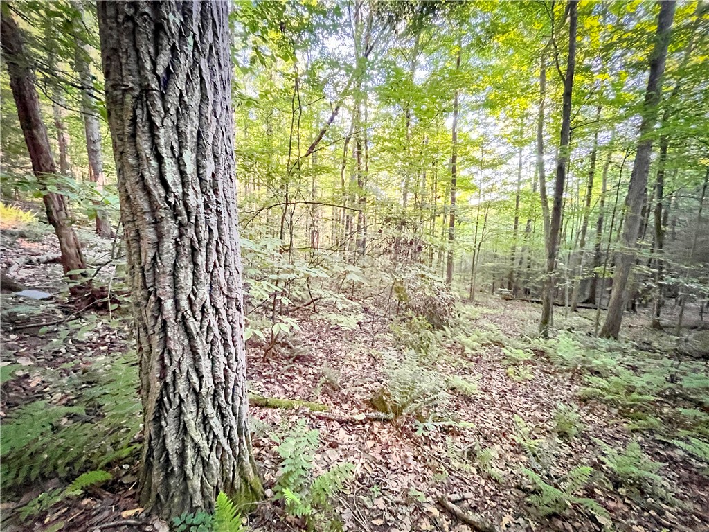 Williams Road Candor, NY 13743 - Photo 25 of 34