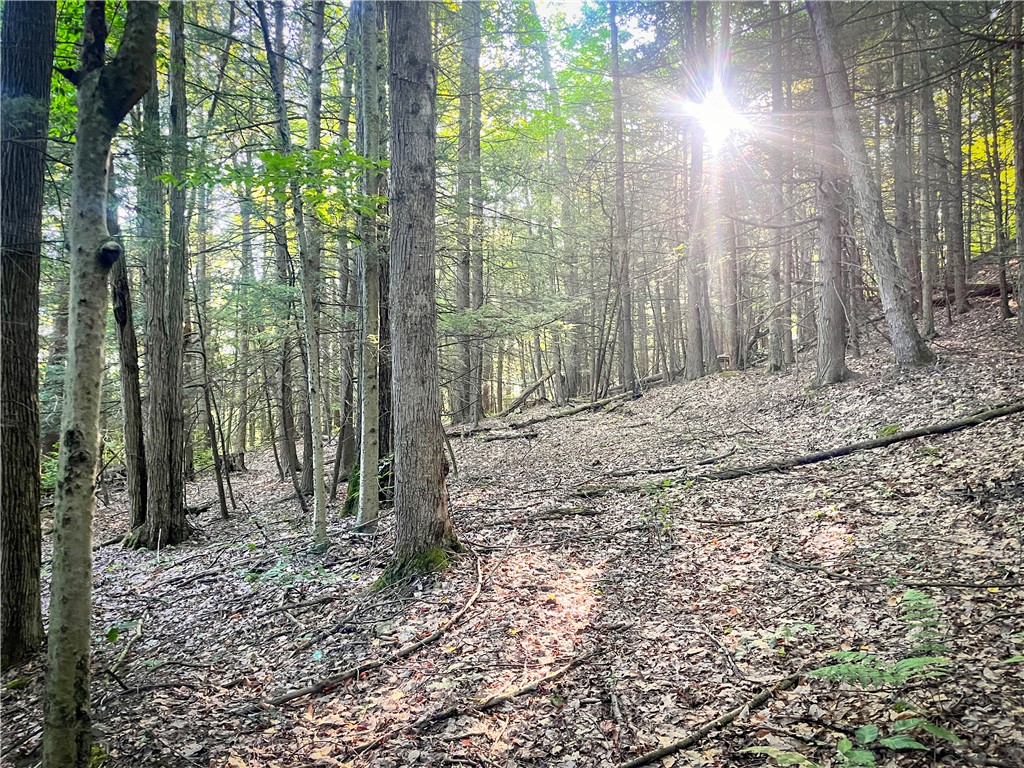 Williams Road Candor, NY 13743 - Photo 27 of 34