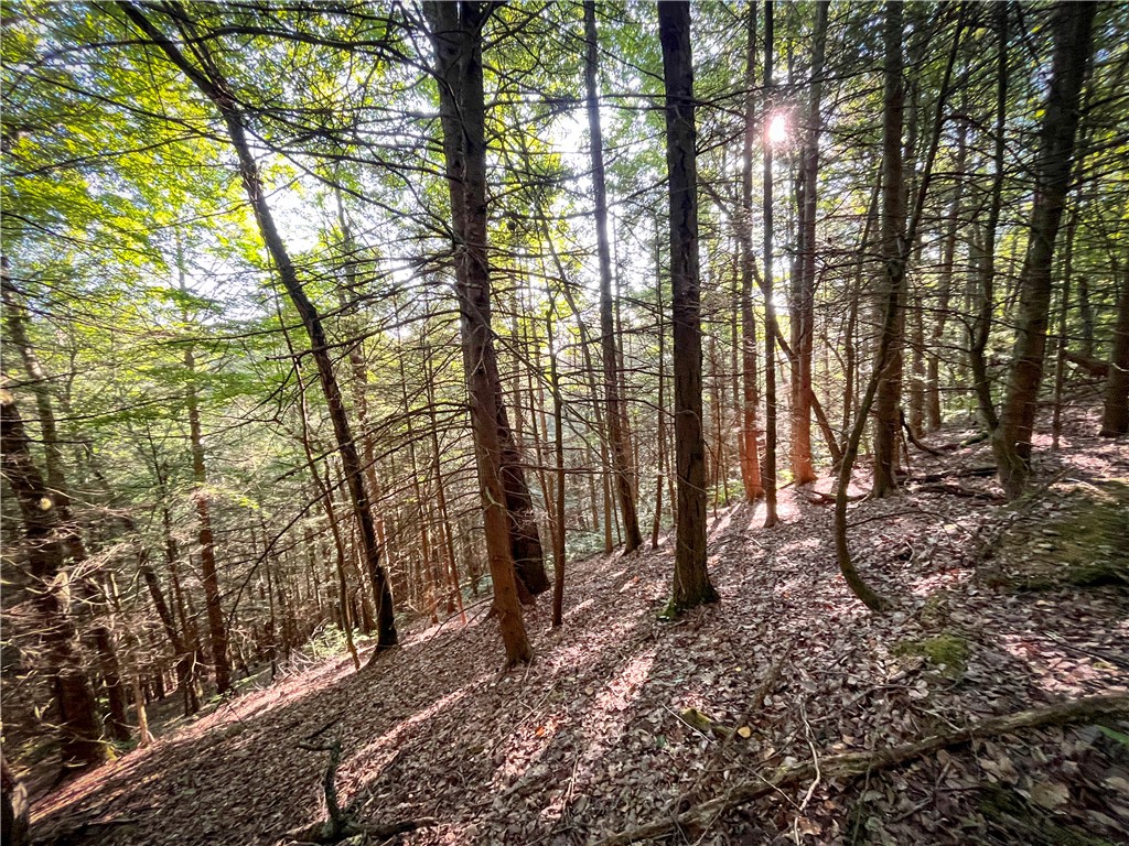 Williams Road Candor, NY 13743 - Photo 28 of 34