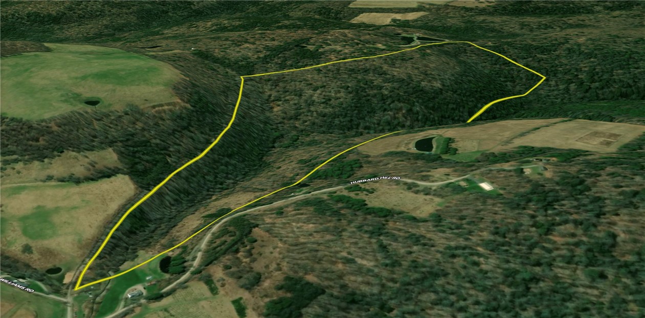 Williams Road Candor, NY 13743 - Photo 29 of 34