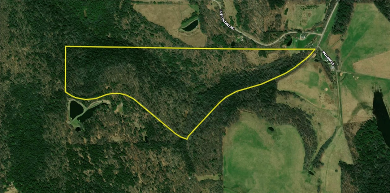 Williams Road Candor, NY 13743 - Photo 30 of 34