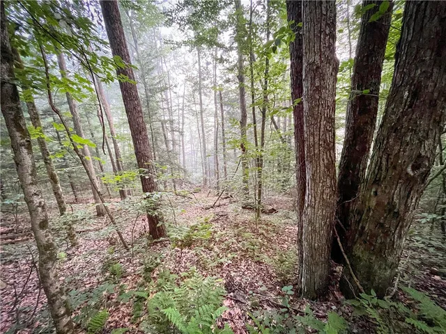 $139,900 | Williams Road, Candor, NY 13743