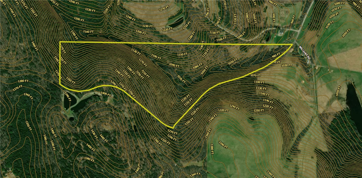 Williams Road Candor, NY 13743 - Photo 31 of 34