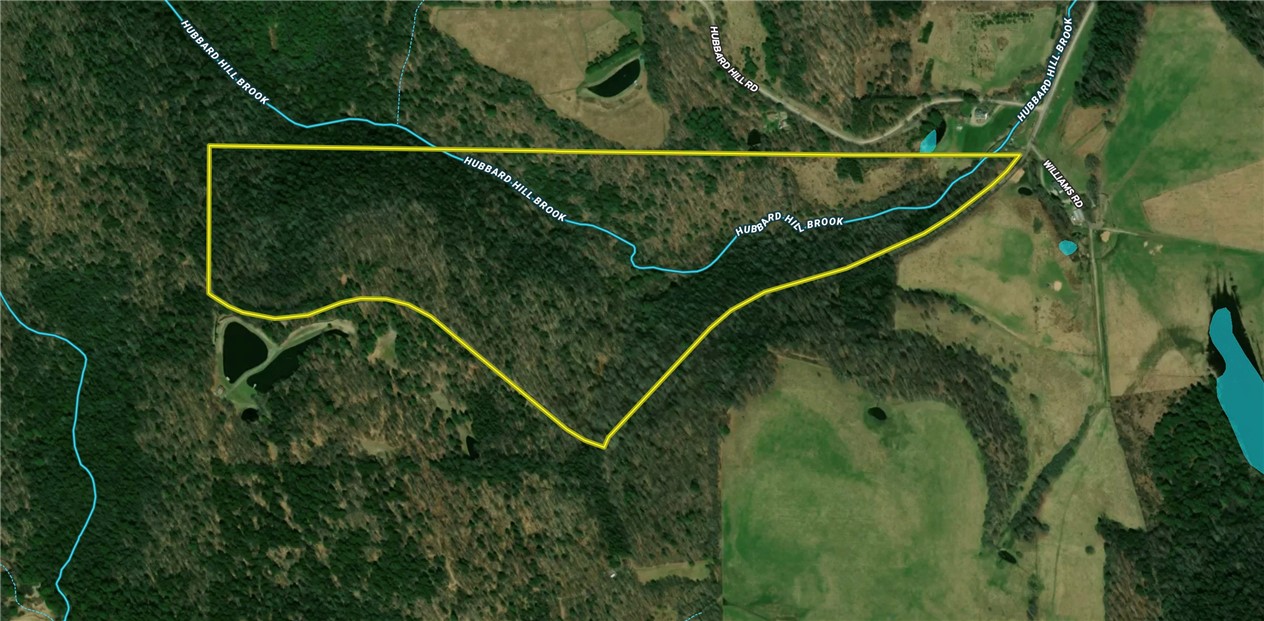 Williams Road Candor, NY 13743 - Photo 32 of 34