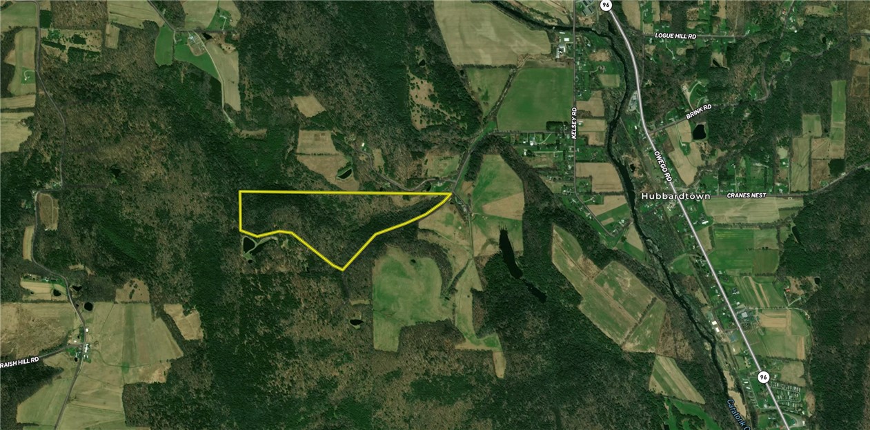 Williams Road Candor, NY 13743 - Photo 34 of 34