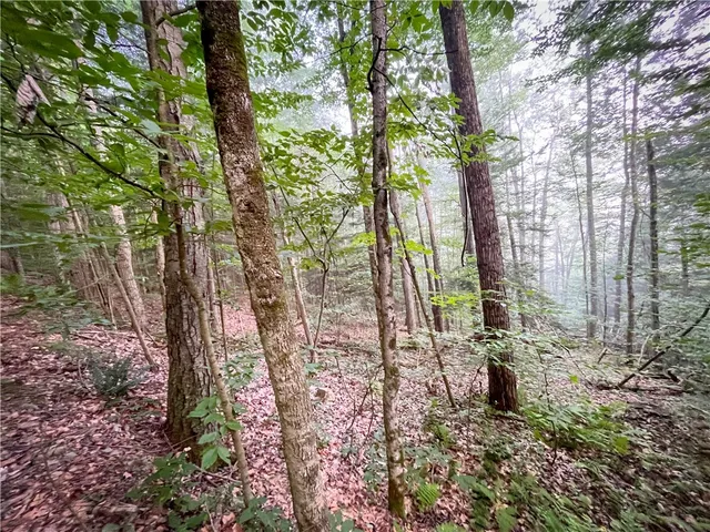 $139,900 | Williams Road, Candor, NY 13743