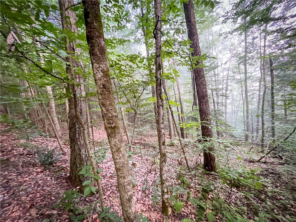 Williams Road Candor, NY 13743 - Photo 4 of 34