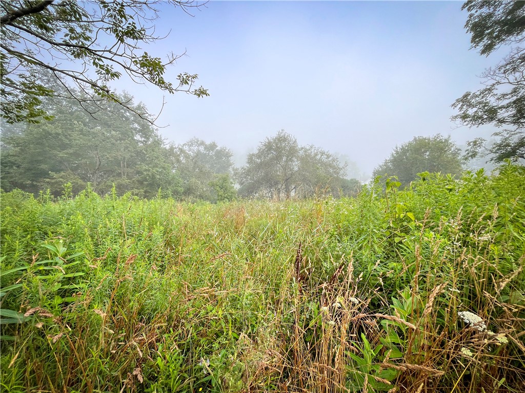 Williams Road Candor, NY 13743 - Photo 5 of 34