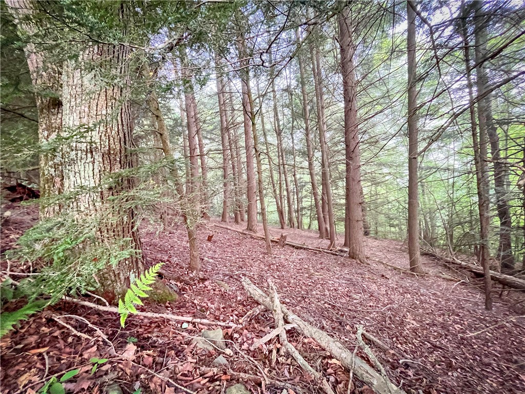 Williams Road Candor, NY 13743 - Photo 6 of 34