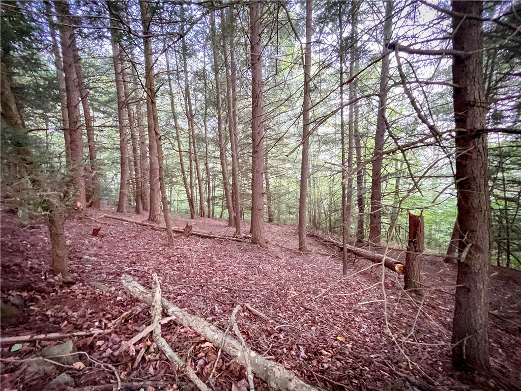 Williams Road Candor, NY 13743 - Photo 7 of 34