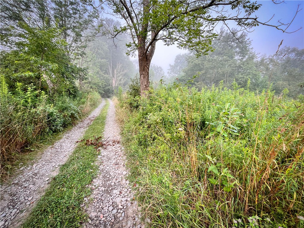 Williams Road Candor, NY 13743 - Photo 8 of 34