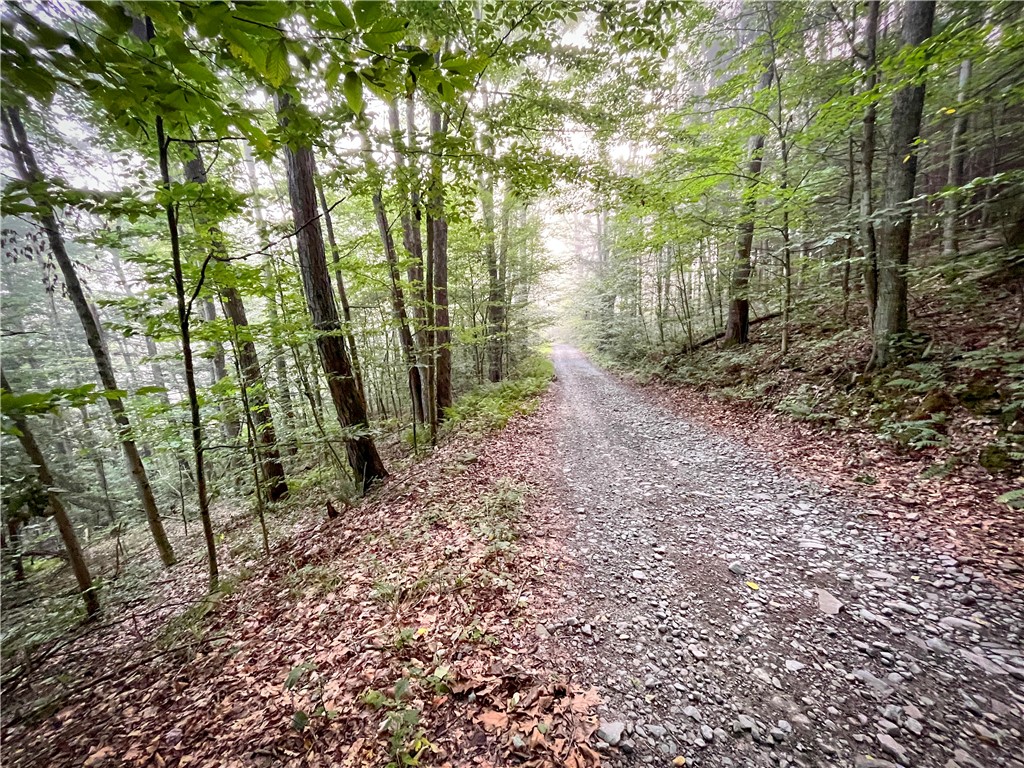 Williams Road Candor, NY 13743 - Photo 9 of 34