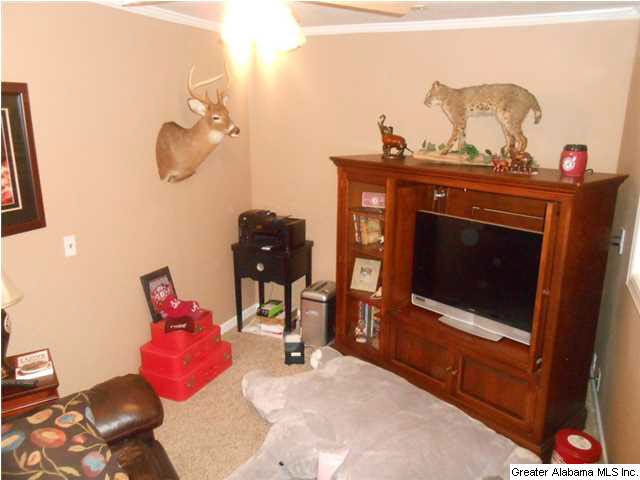39 Price Lane Oneonta, AL 35121 - Photo 7 of 26