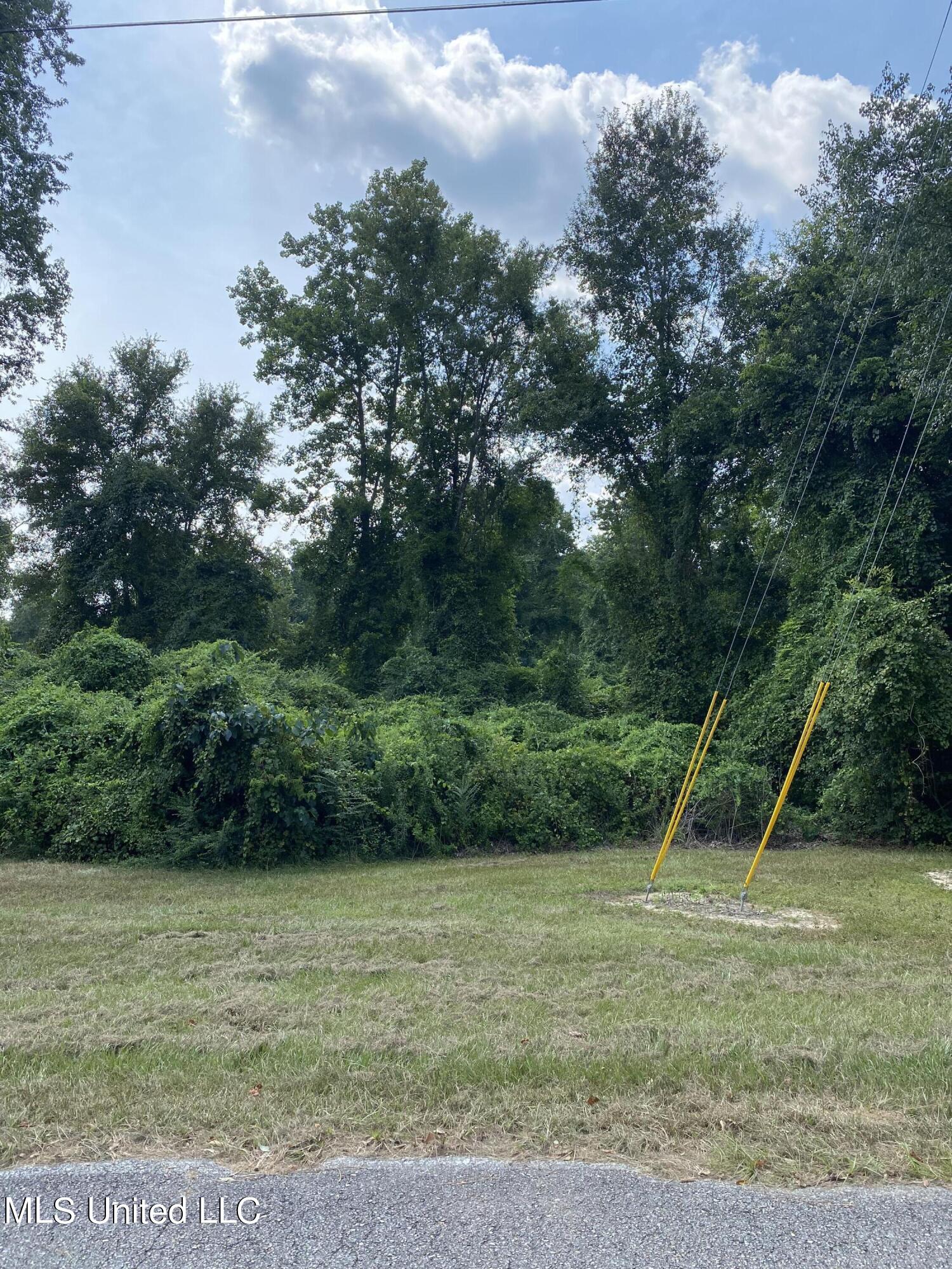 223 East Sunnybrook Road Carriere, MS 39426 - Photo 2 of 4 Lot