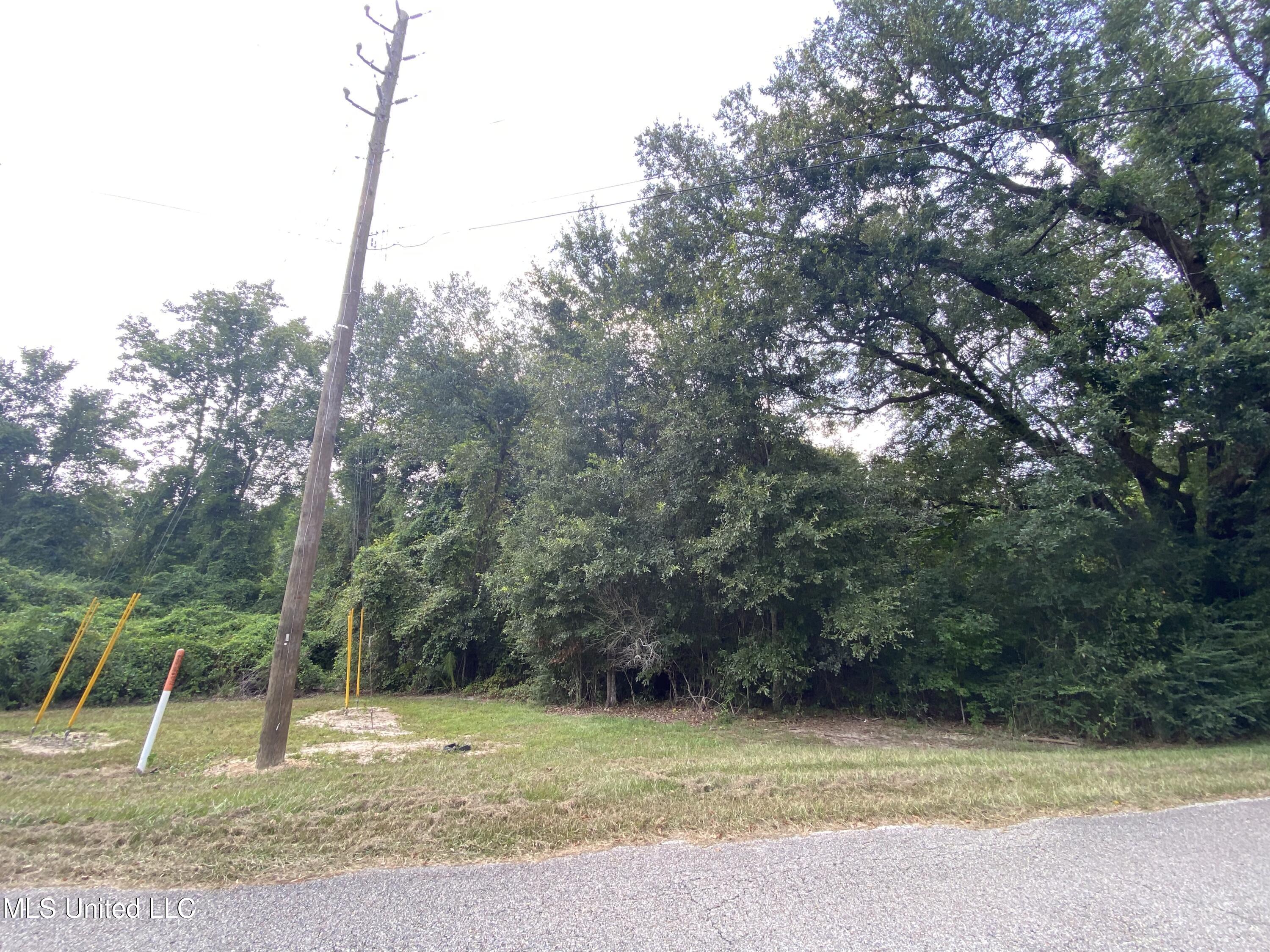 223 East Sunnybrook Road Carriere, MS 39426 - Photo 3 of 4 Lot