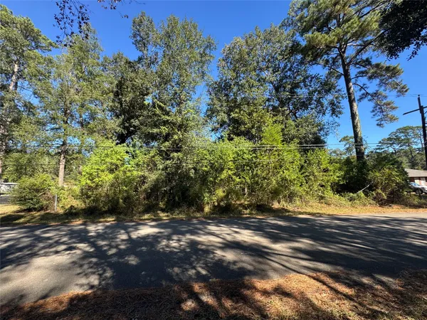 a view of a yard with plants and trees
