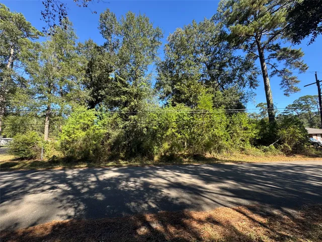 a view of a yard with plants and trees