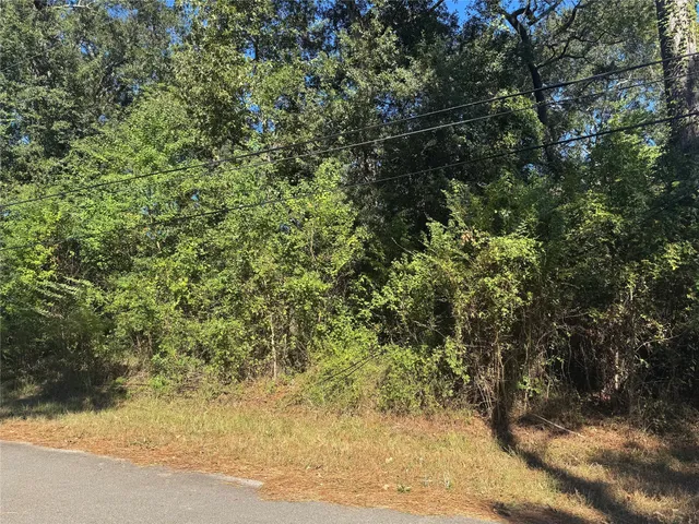 a view of a yard with a tree