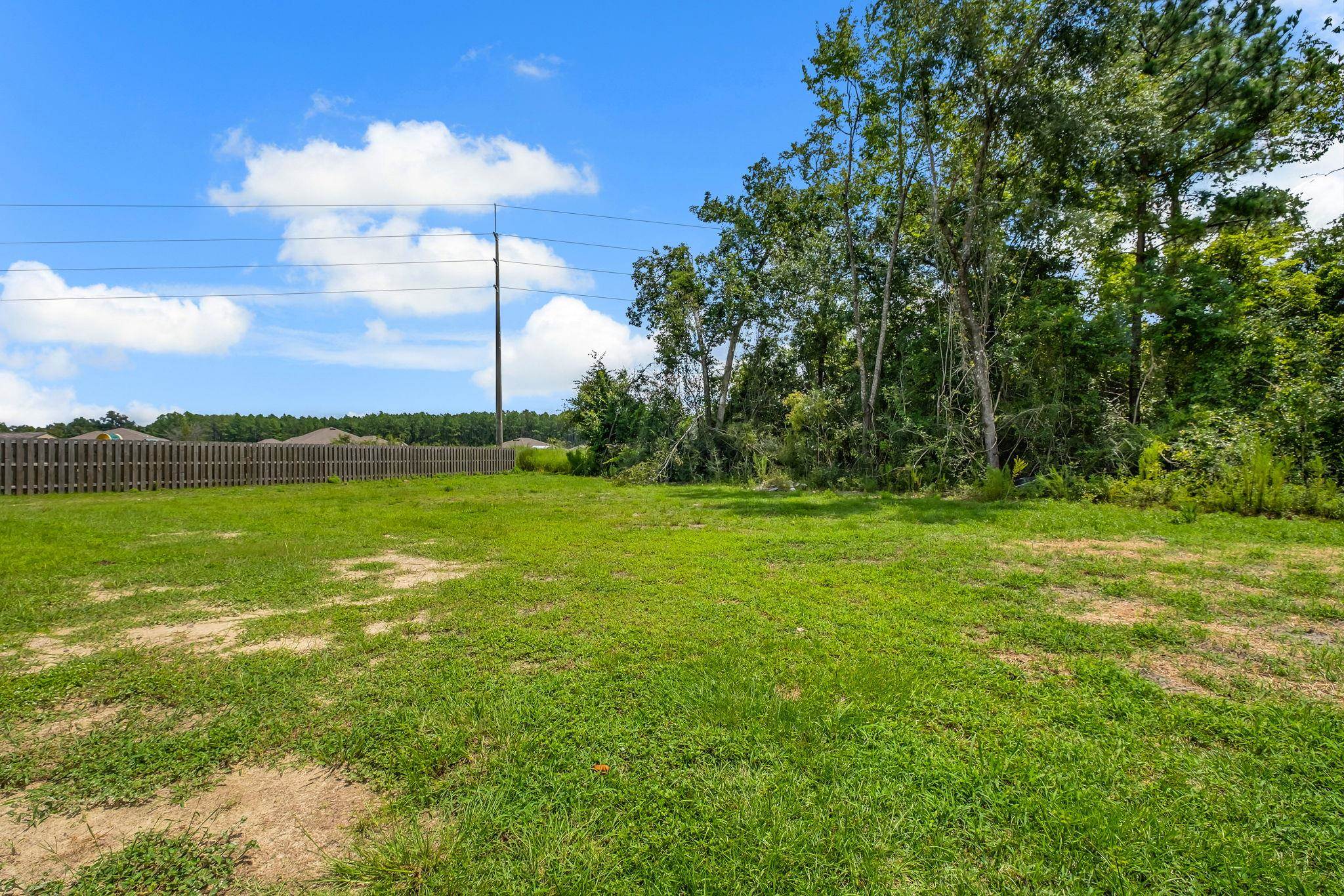 224 Linzy Store Road Crawfordville, FL 32327 - Photo 5 of 45 Gallery Image 5