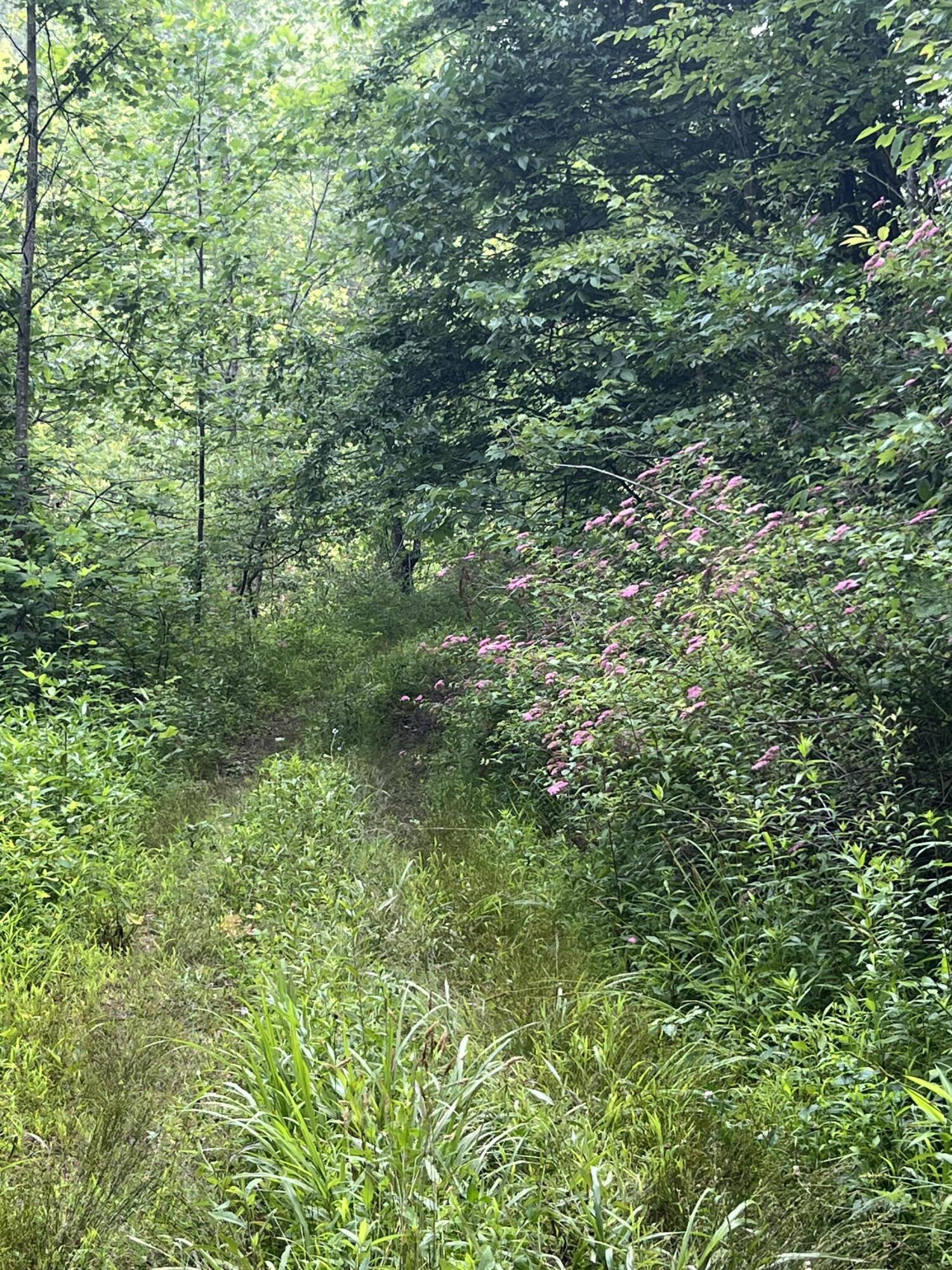 1000 Stamper Branch Road Campton, KY 41301 - Photo 15 of 16 Photo Jun 28, 6 32 02 PM