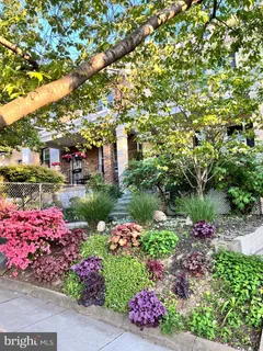 $949,900 | 424 Allison Street Northwest, Washington, DC 20011
