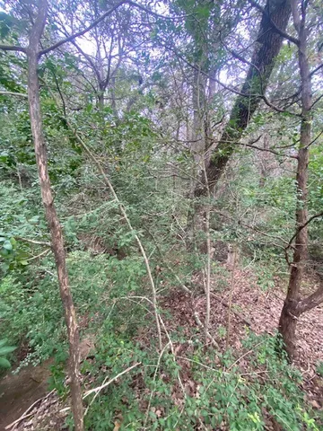 $31,700 | 14 Kosse Tx 76653, Kosse, TX 76653