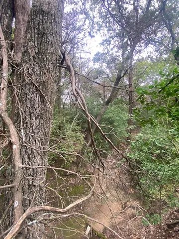 $31,700 | 14 Kosse Tx 76653, Kosse, TX 76653