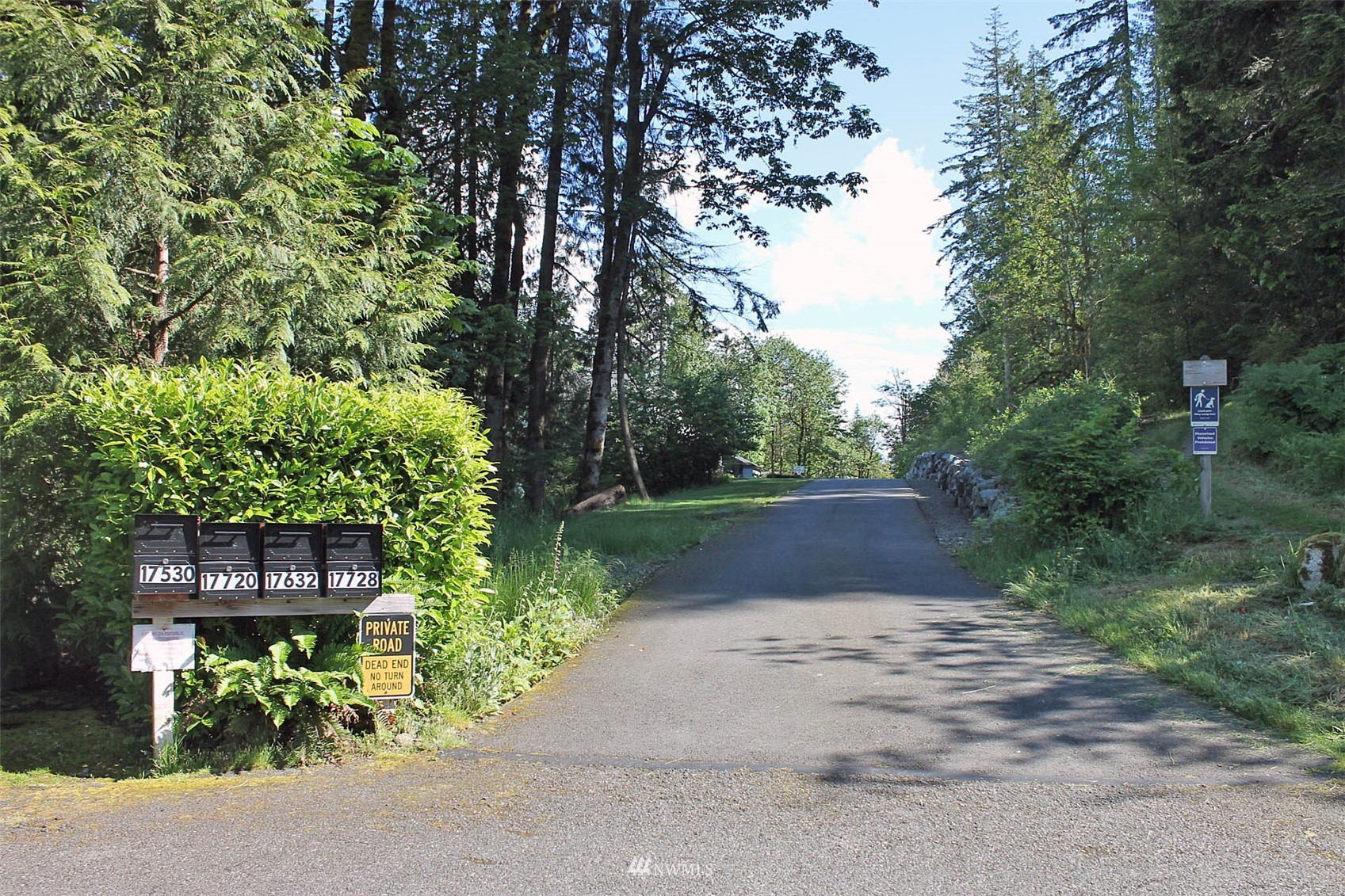 17720 190th Avenue Southeast Renton, WA 98058 - Photo 13 of 40 a view of street with potted plants and large trees
