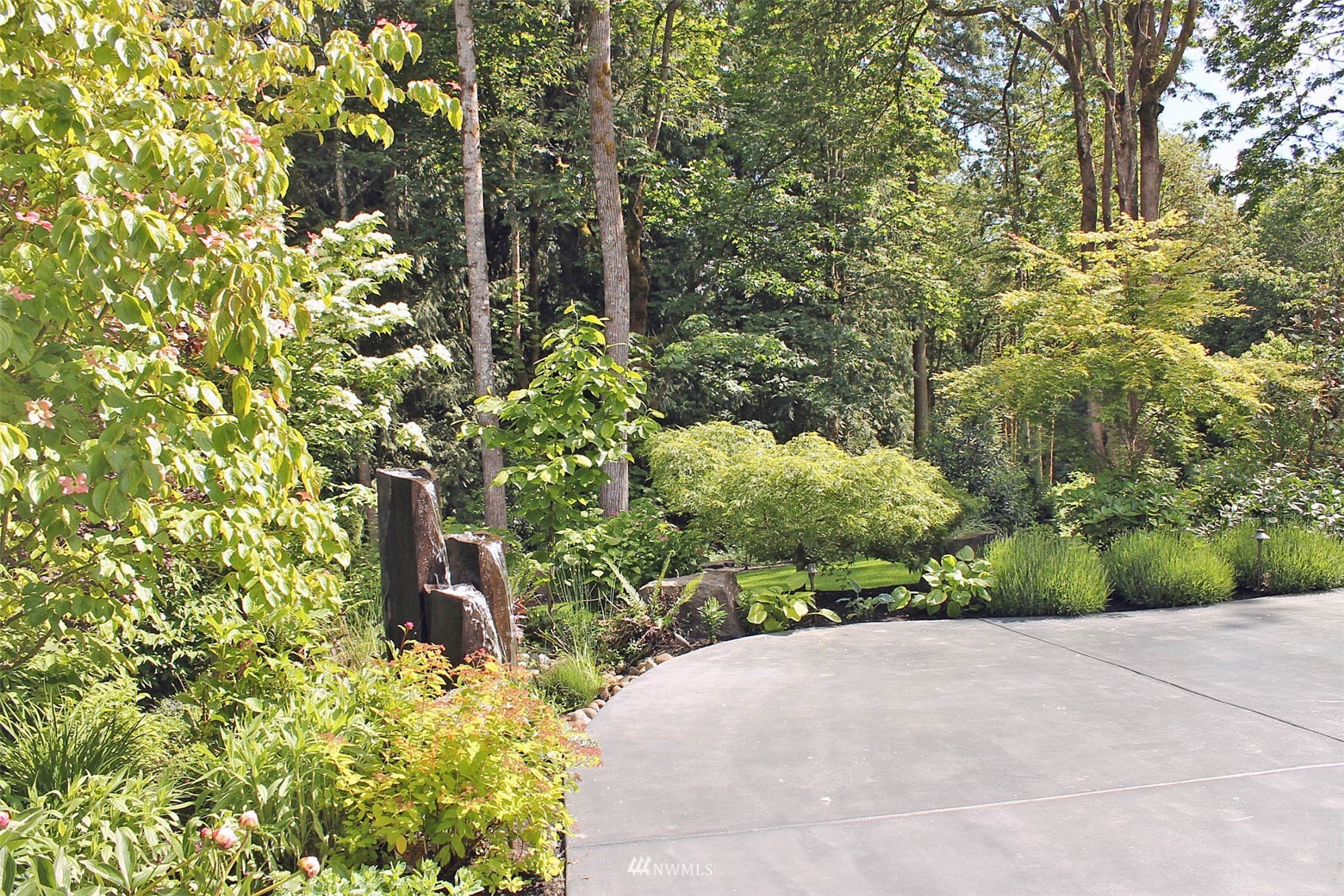 17720 190th Avenue Southeast Renton, WA 98058 - Photo 25 of 40 a view of a garden with plants