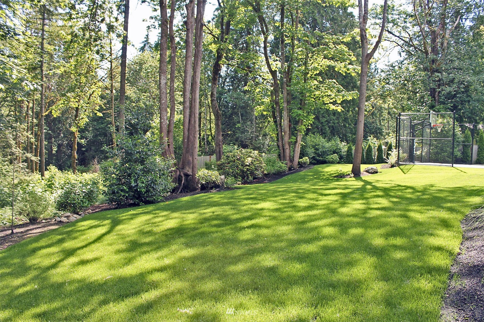 17720 190th Avenue Southeast Renton, WA 98058 - Photo 27 of 40 a large tree in the middle of a garden