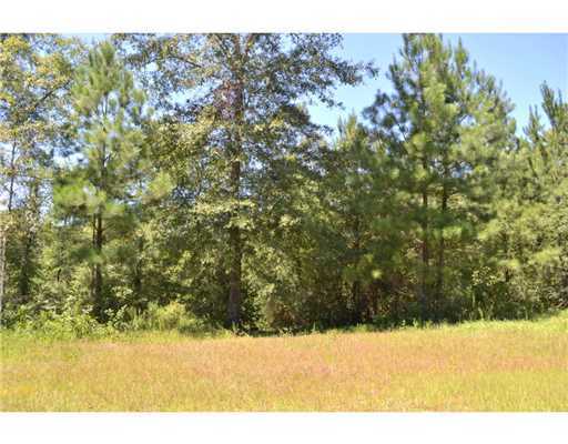 1177 C F Ward Road Lucedale, MS 39452 - Photo 19 of 25 Additional Photo