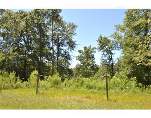 1177 C F Ward Road Lucedale, MS 39452 - Photo 20 of 25 Additional Photo