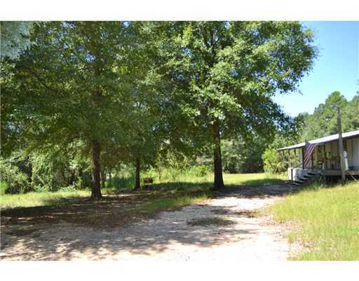 1177 C F Ward Road Lucedale, MS 39452 - Photo 3 of 25 Additional Photo