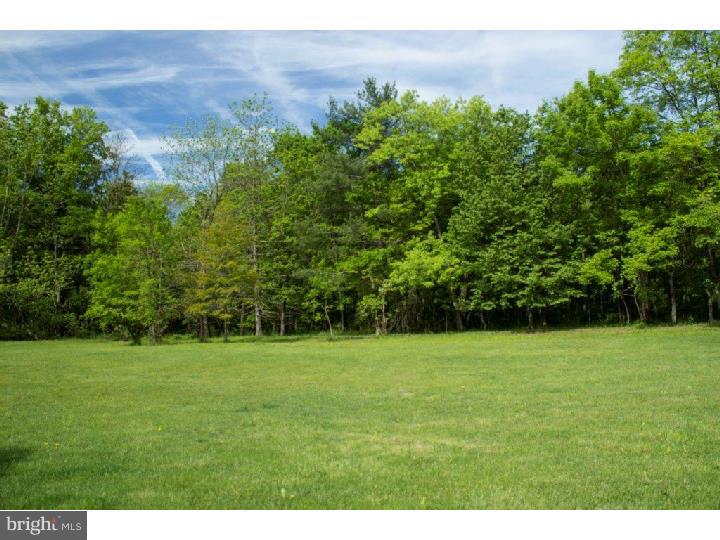 35 Mill Road Hatfield, PA 19440 - Photo 25 of 25 Back Yard