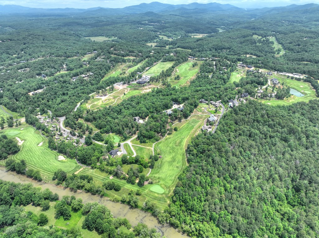 658 Old Toccoa Loop Mineral Bluff, GA 30559 - Photo 53 of 74 an aerial view of residential houses with outdoor and green space