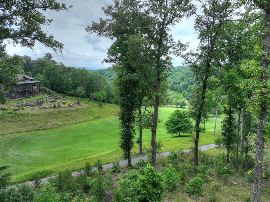 658 Old Toccoa Loop Mineral Bluff, GA 30559 - Photo 59 of 74 a view of a grassy field with trees in the background