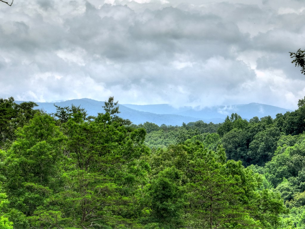 658 Old Toccoa Loop Mineral Bluff, GA 30559 - Photo 60 of 74 a view of a bunch of trees