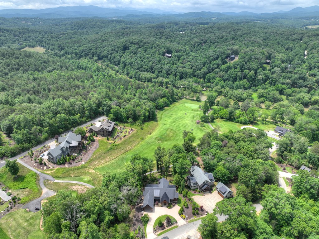 658 Old Toccoa Loop Mineral Bluff, GA 30559 - Photo 68 of 74 an aerial view of residential house with outdoor space
