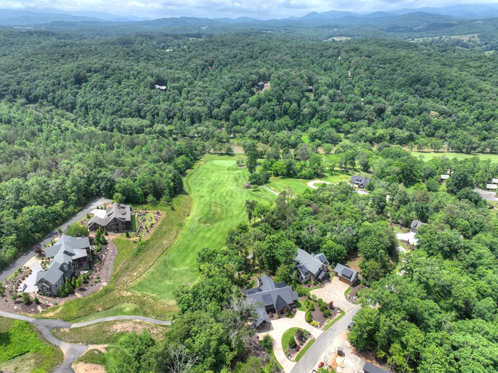 658 Old Toccoa Loop Mineral Bluff, GA 30559 - Photo 69 of 74 an aerial view of residential houses with outdoor space and trees
