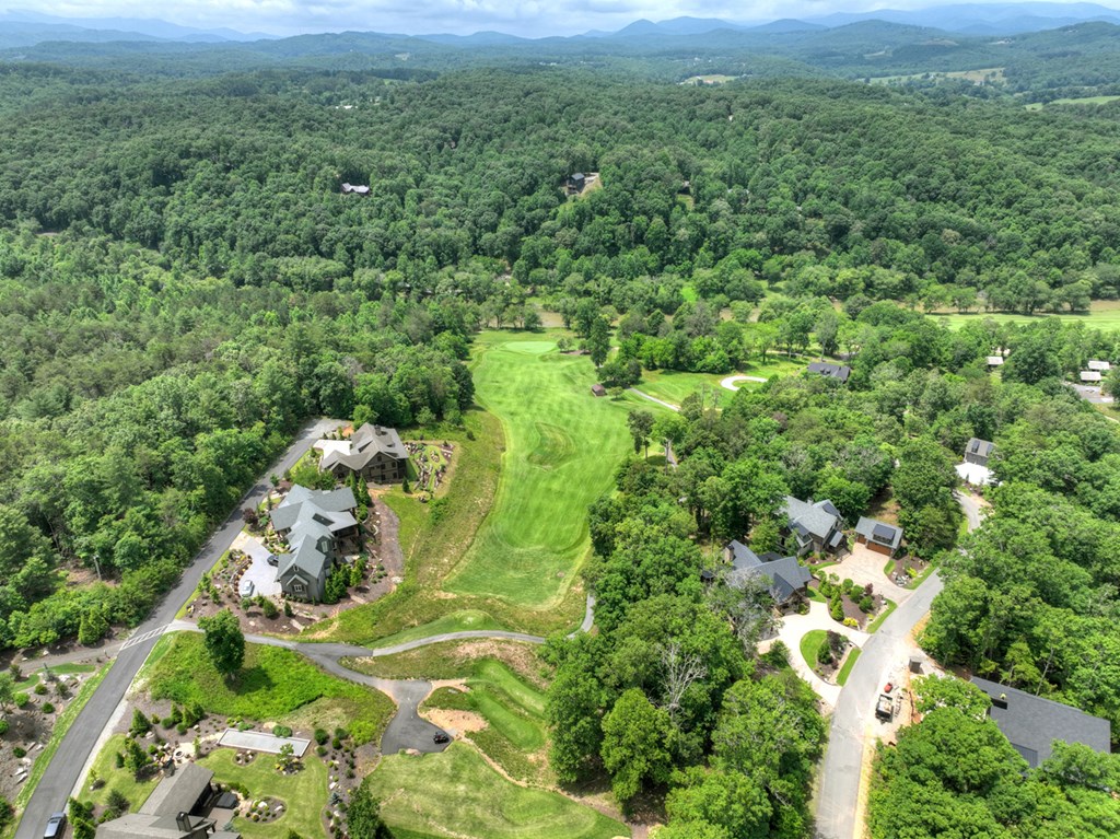 658 Old Toccoa Loop Mineral Bluff, GA 30559 - Photo 70 of 74 a view of a city with lush green forest