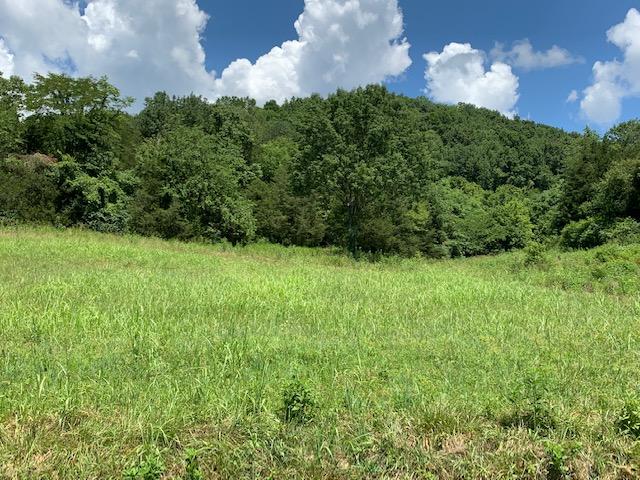 Dry Mill Road Hilham, TN 38568 - Photo 1 of 11 CoverPhoto
