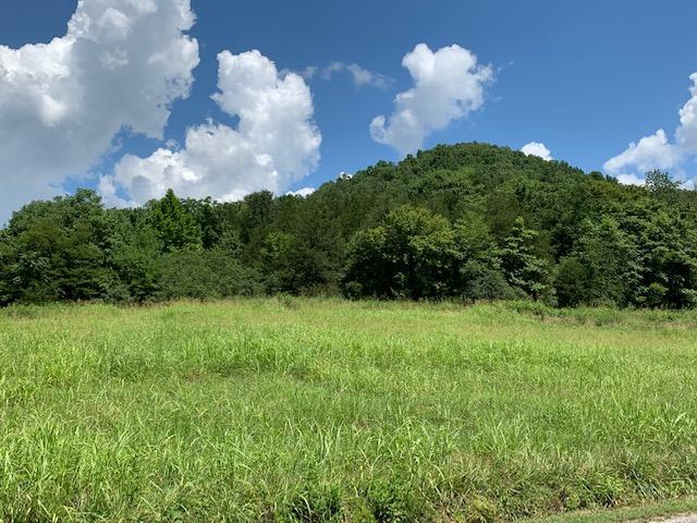 Dry Mill Road Hilham, TN 38568 - Photo 2 of 11 IMG_8317