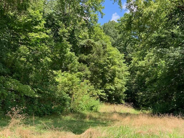 Dry Mill Road Hilham, TN 38568 - Photo 11 of 11 IMG_8328