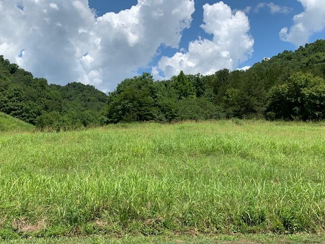 Dry Mill Road Hilham, TN 38568 - Photo 3 of 11 IMG_8318