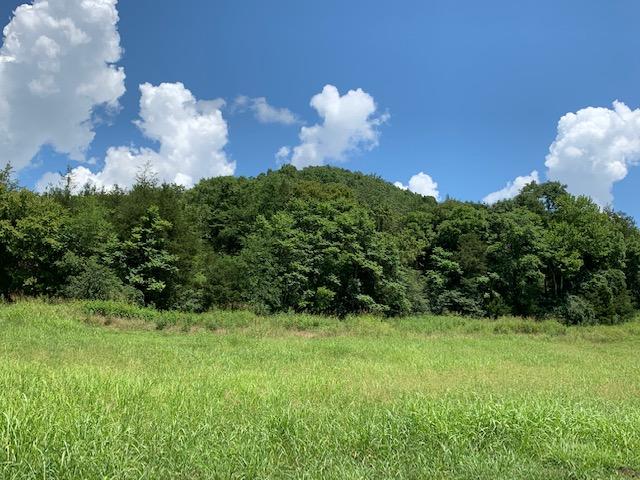 Dry Mill Road Hilham, TN 38568 - Photo 5 of 11 IMG_8320