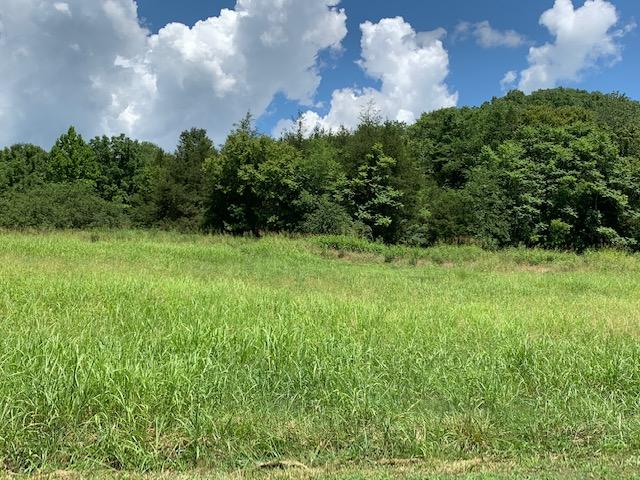Dry Mill Road Hilham, TN 38568 - Photo 6 of 11 IMG_8321