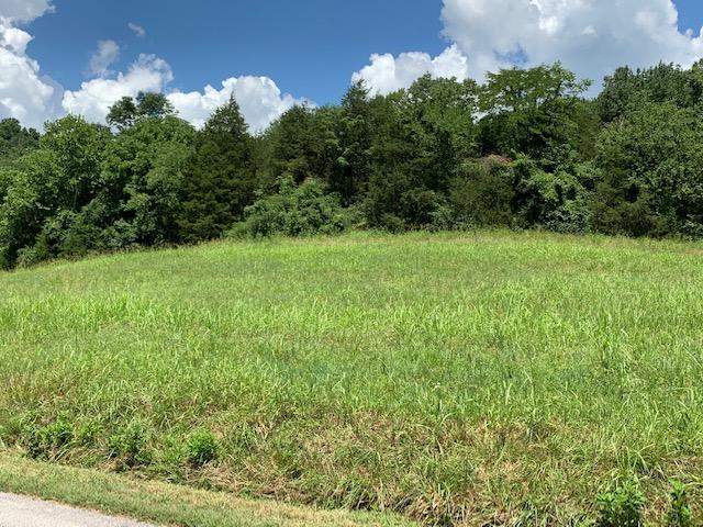 Dry Mill Road Hilham, TN 38568 - Photo 7 of 11 IMG_8324